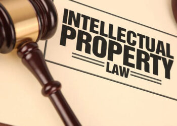 Balancing Intellectual Property Rights and Human Rights in the Age of Technology and Innovation
