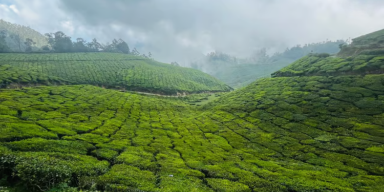 The Supreme Court mandates review of the Maharashtra Slum Areas Act, emphasizing the executive’s responsibility to oversee the implementation of laws.