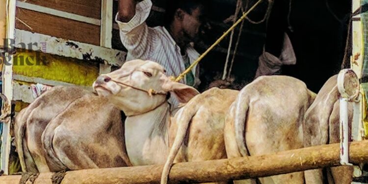 Hathras Stampede: Petition in Allahabad High Court Requests CBI Investigation and Independent Judicial Inquiry