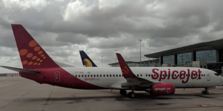 The Delhi High Court has issued a restraining order against Crocodile International, preventing the company from using a logo that resembles Lacoste’s.