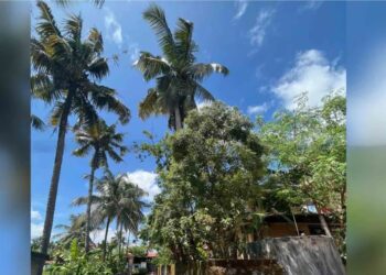 “Delhi High Court: Shashi Tharoor’s ‘Scorpion’ Remark Against PM Modi Harmed Hindus, Defamed BJP and Modi”