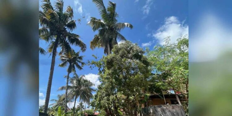 “Delhi High Court: Shashi Tharoor’s ‘Scorpion’ Remark Against PM Modi Harmed Hindus, Defamed BJP and Modi”