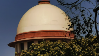 When is Watching or Storing Child Sexual Abuse Material an Offence? Supreme Court Clarifies