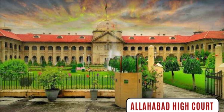 Allahabad High Court observes that trial judges sometimes convict innocent individuals to further their career ambitions.